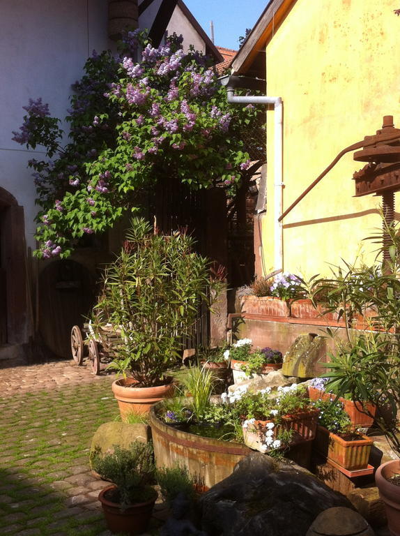 La Maison De Caroline Westhoffen Exterior photo